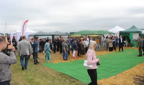 Компанія Ельворті взяла участь у Дні поля Кіровоградської ДСГДС НААН.