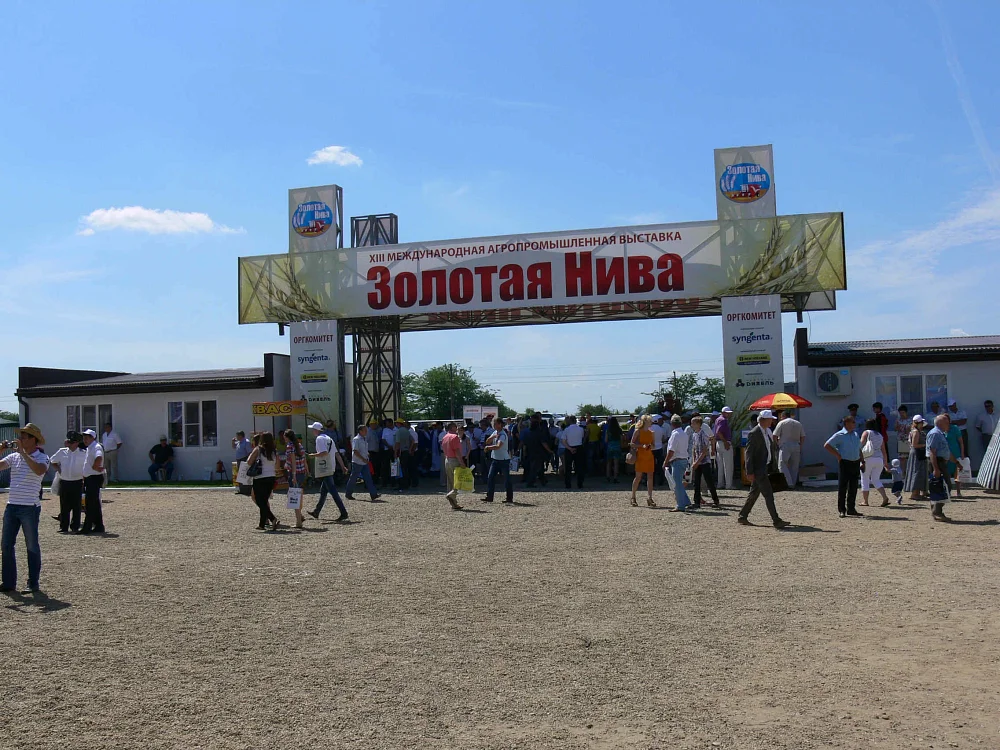 «Золота нива»: виставка на стику сезонів — 7
