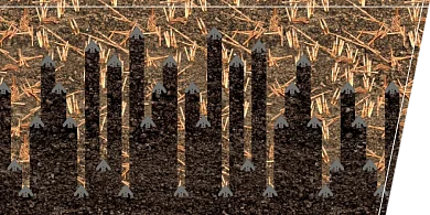 Розташування лап на культиваторі