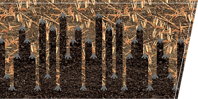 ОРИГІНАЛЬНЕ РОЗТАШУВАННЯ СТІЙОК